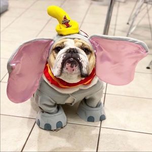 Meet your Posher, Rolando